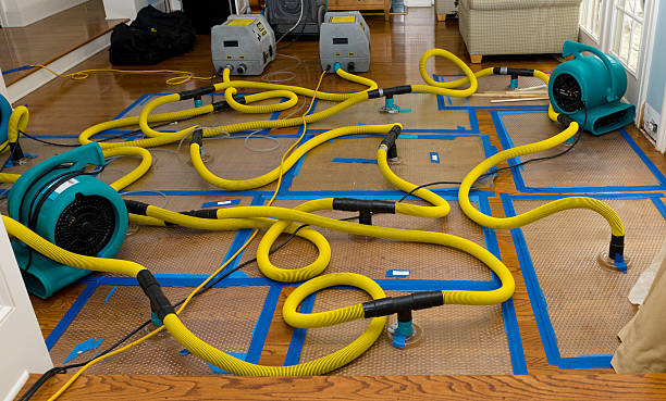 Professional Basement Flood Cleanup technician working in Fort Walton Beach, FL